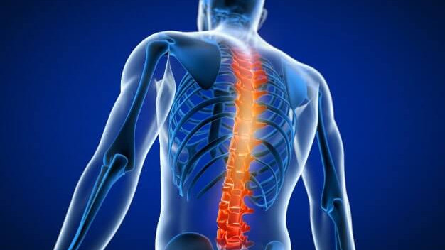 Spine Surgery Cost In India